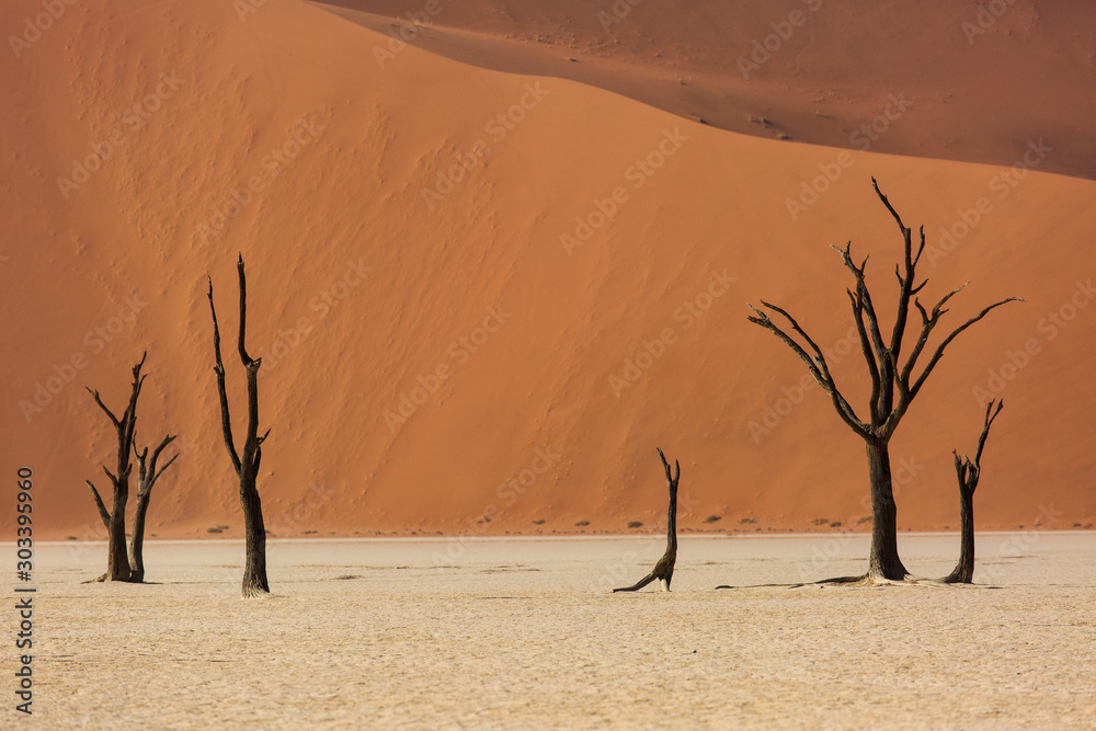 Εκτύπωση καμβά Silhouettes of dry hundred years old trees in the desert among red sand dunes