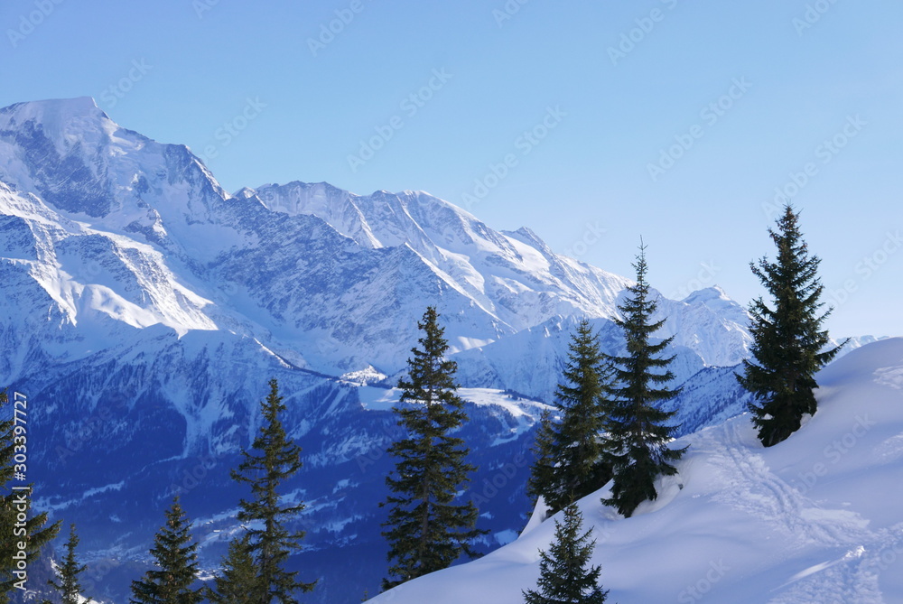 holiday at the foot of Mont Blanc, France