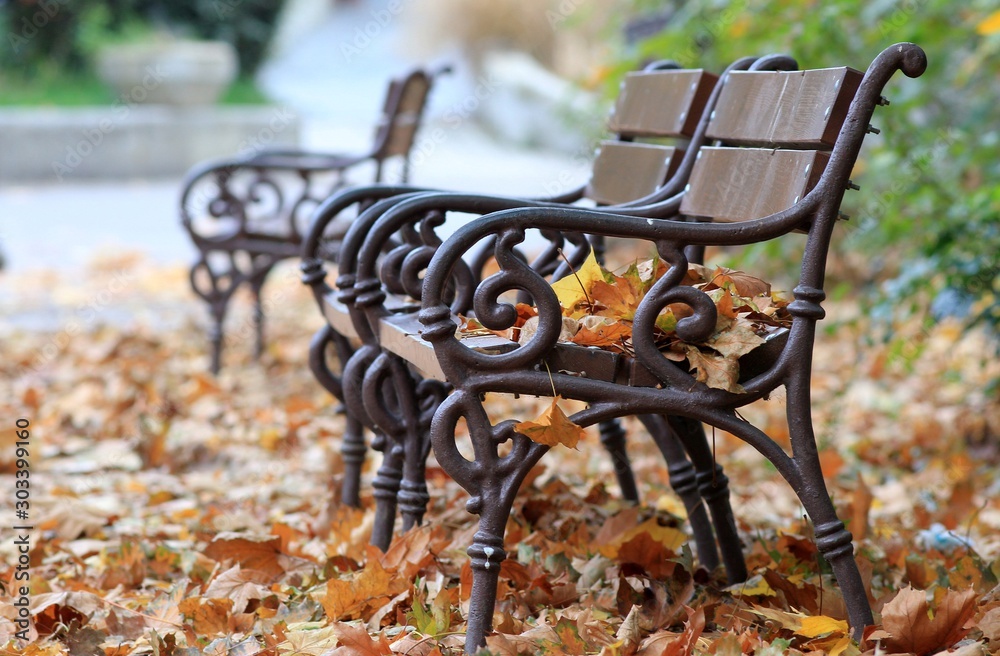 Bench with fallen autumn leaves in the Park