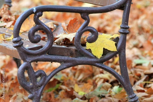 Fallen autumn leaves on a Park bench