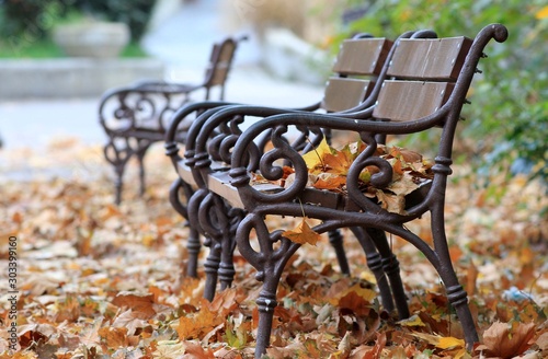 Bench with fallen autumn leaves in the Park