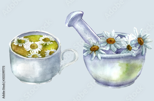 Daisies in a mortar and a tea cup with daisy flowers. Freehand watercolor drawing