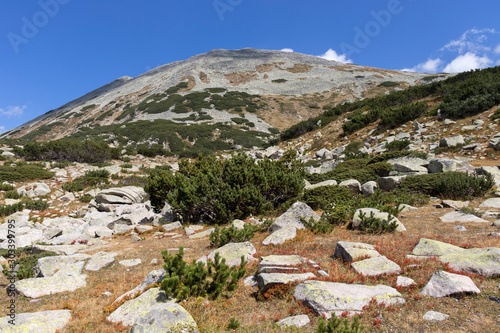 landscape of Pirin Mountain, Bulgaria photo