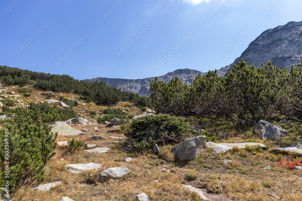 landscape of Pirin Mountain, Bulgaria