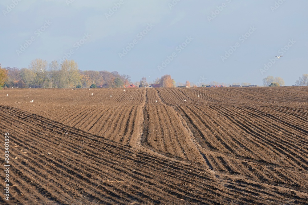 Weites gepflügtes Ackerland - Feld Weites gepflügtes Ackerland - Feld