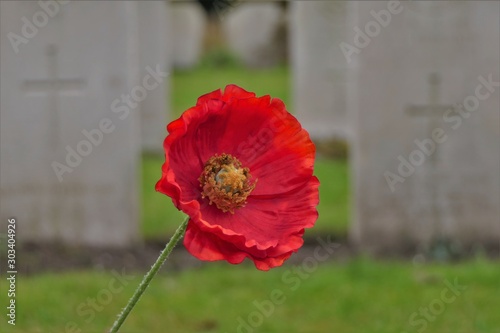 Close-up of a silk remembrance poppy at a war cemetery