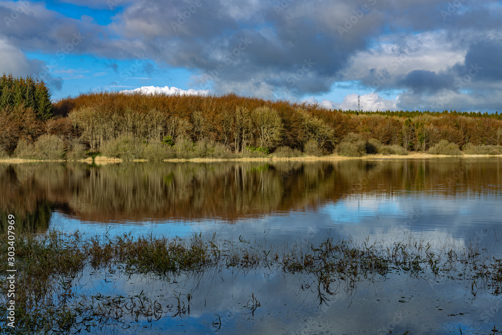 Woodburn Reservoir  and woodland forests, The Snowy Glen, Carrickfergus, County Antrim, Northern Ireland