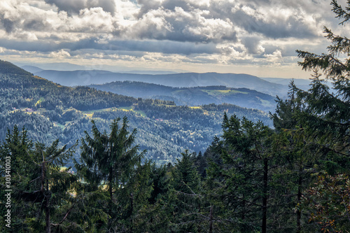 Black Forest Panorama HDR