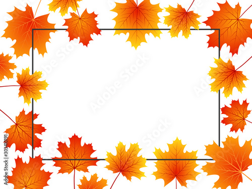Vector autumn season background
