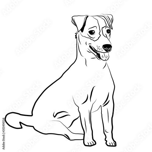 Jack Russell Terrier puppy dog portrait contour outline, sketch isolated vector illustration. 