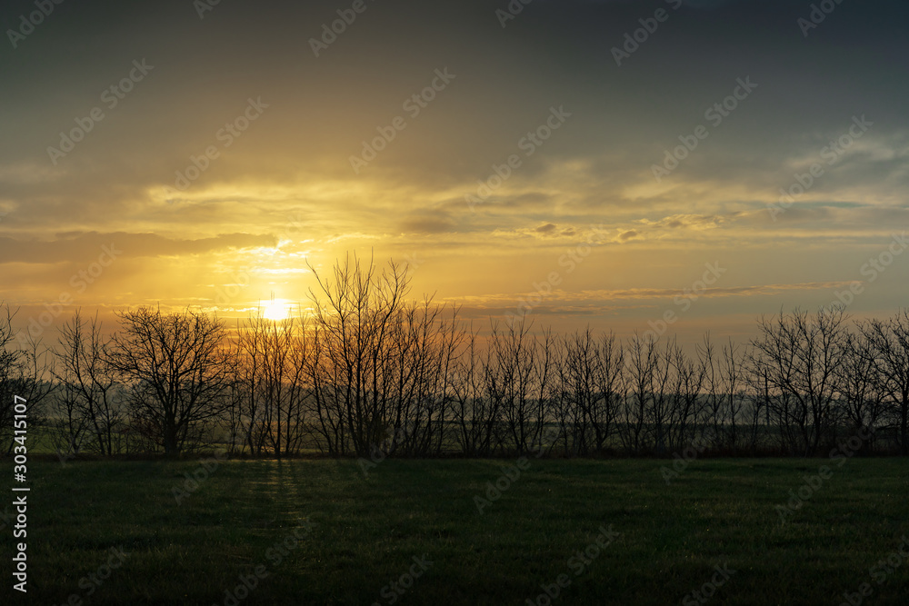 Sunset over pure nature fields with trees on the side