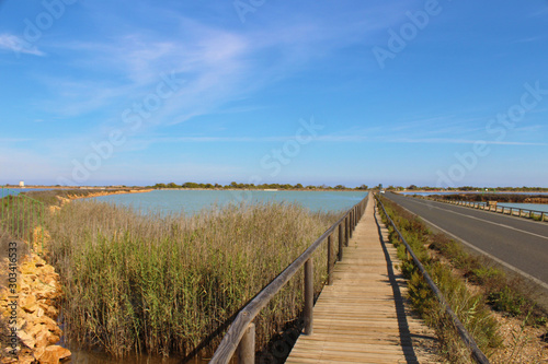 Salinas de San Pedro del Pinatar  Murcia  Espa  a