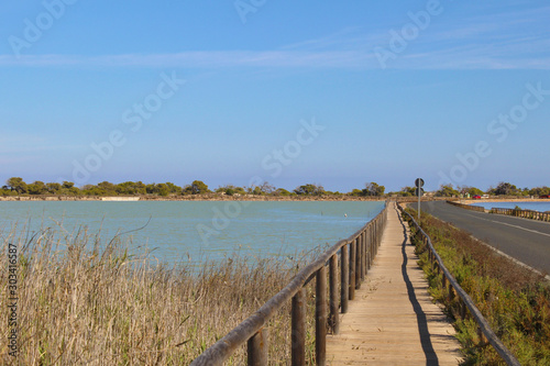 Salinas de San Pedro del Pinatar  Murcia  Espa  a