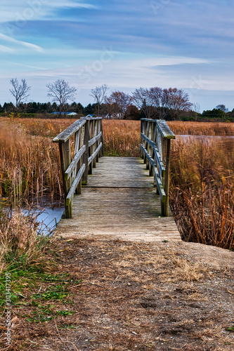 Fototapeta Naklejka Na Ścianę i Meble -  wooden bridge in the marsh