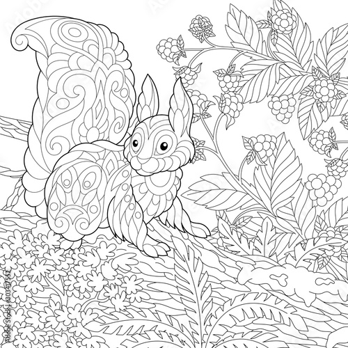 coloring page with cute squirrel in the forest
