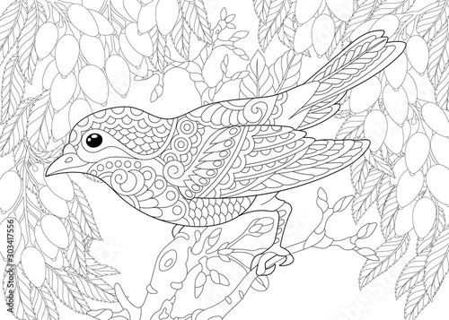 Canvas-taulu coloring page with bird in the garden