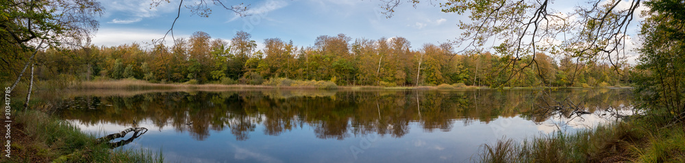 Sea and forrest panorama