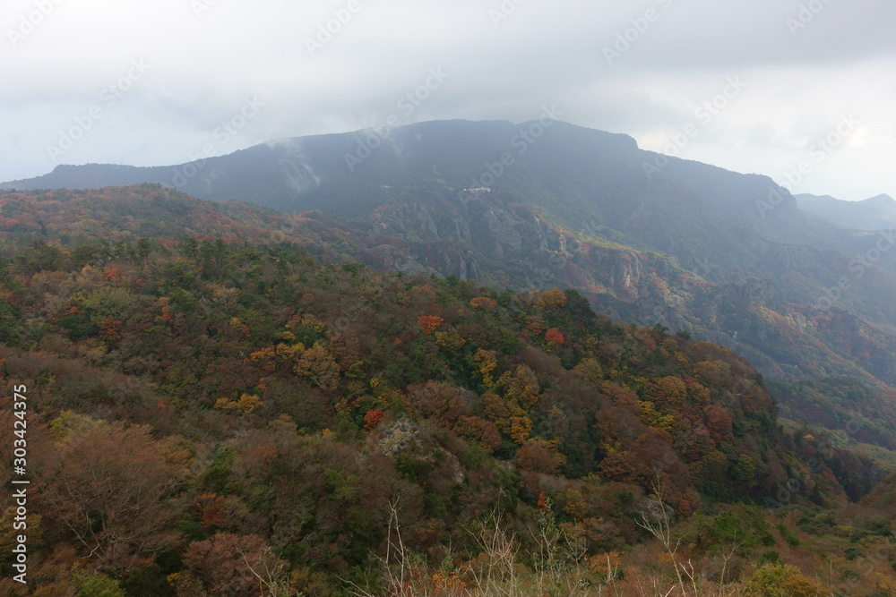 日本の小豆島の秋の美しい紅葉