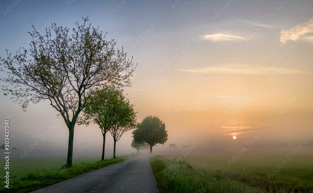 Colorful dreamy glowing summer sunrise landscape, a field road lined with some tree silhouettes stretching into the distance misty farmfields, depicting the concept of travel and adventure Colorful dreamy glowing summer sunrise landscape, a field road lined with some tree silhouettes stretching into the distance misty farmfields, depicting the concept of travel and adventure