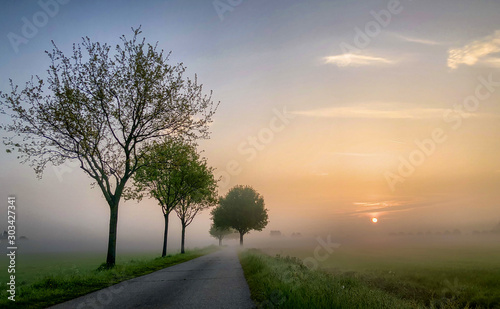 Colorful dreamy glowing summer sunrise landscape, a field road lined with some tree silhouettes stretching into the distance misty farmfields, depicting the concept of travel and adventure 