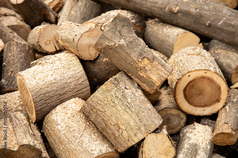Cross section of the tree. Pile of firewood Cross section of the tree. Pile of firewood