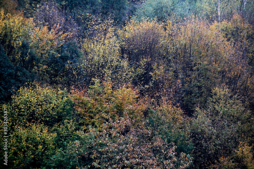 Urban park in autumn colors Urban park in autumn colors