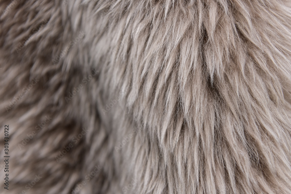 Obraz Faktura beżowego futra. Futro jest piękne, długie włosy. Odcienie szarości - ciemne i jasne.