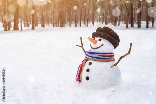 Fotografie, Obraz Christmas scene with a cheerful snowman in the park