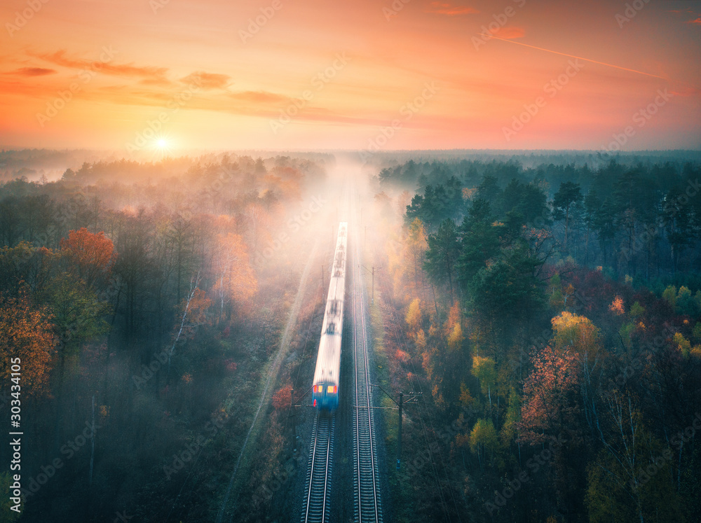 Train in colorful forest in fog at sunset in autumn. Aerial view - obrazy, fototapety, plakaty 