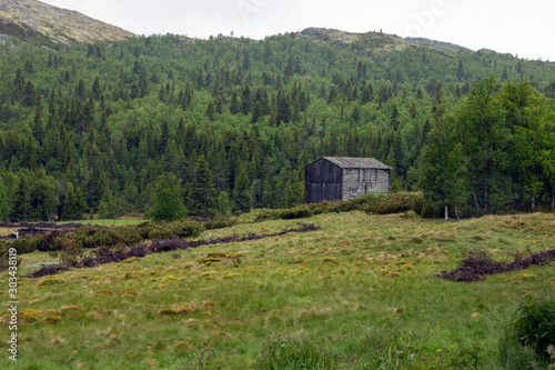 Old barn outdoors in the norwegian forest/mountains during summer in Otta/Sel/Oppland. Travel and nature concept. photo