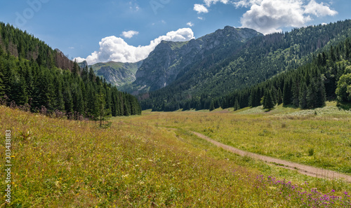 Little Meadow Valley (Dolina Małej Łąki) in Tatra Mountains.