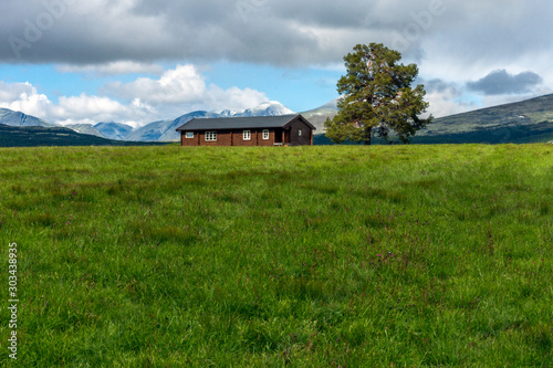 Brown farmers cottage with big tree outdoors with mountain scenery background. Landscape and nature concept in norway/sel/rondane/kvam/oppland/hedmark.