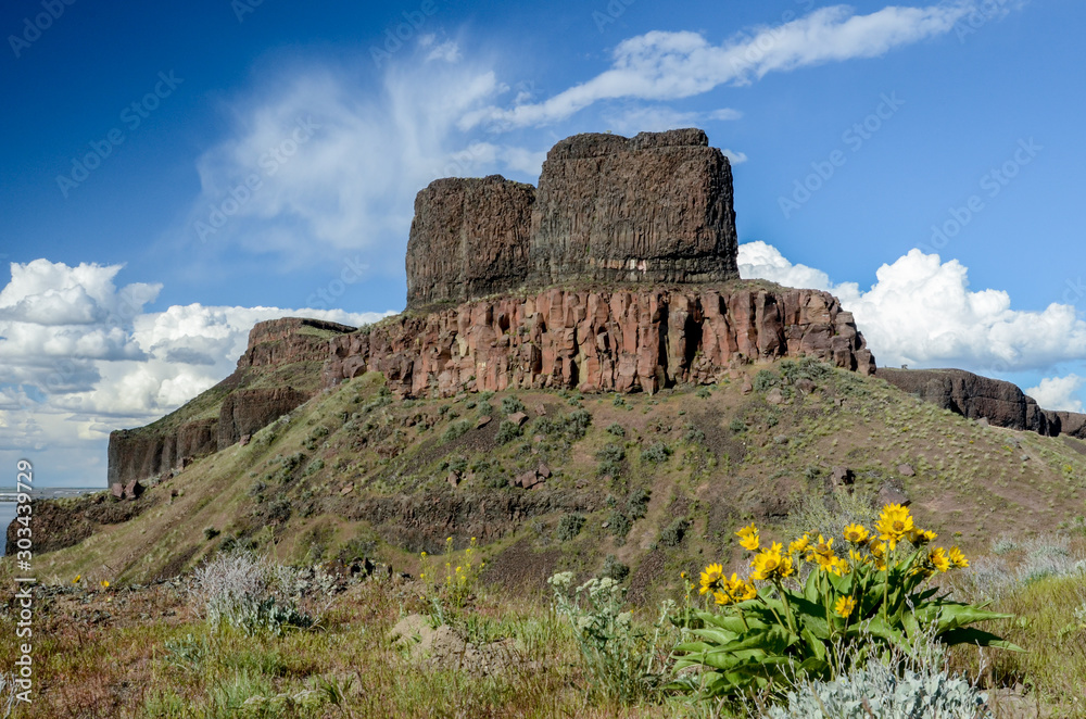Φωτογραφία Spingtime view of Twin Sisters Rock with a clump of flowers in the foreground, W