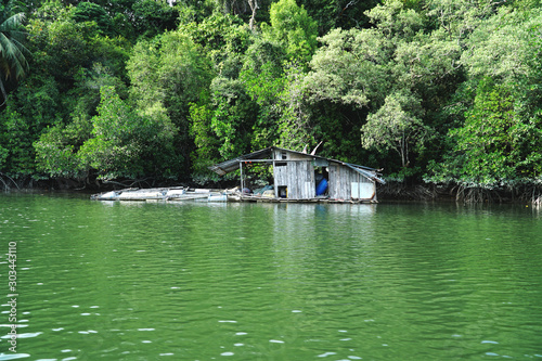 cabin at a river bank on langkawi