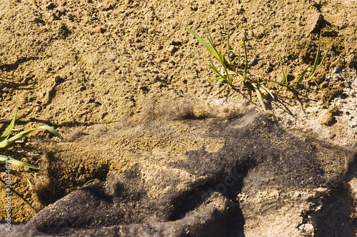 Roadbuilding material for the Tuktoyaktuc Highway photo