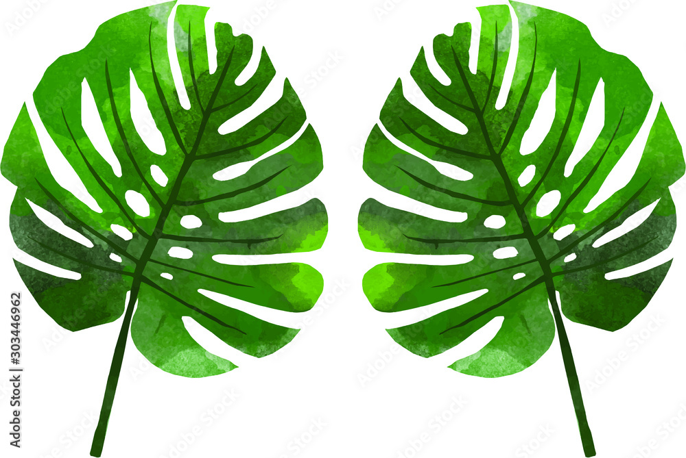 Vector watercolor illustration of monstera leaves for summer theme design element with floral pattern