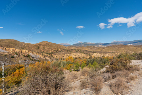 Landscape with trees near Lucainena photo