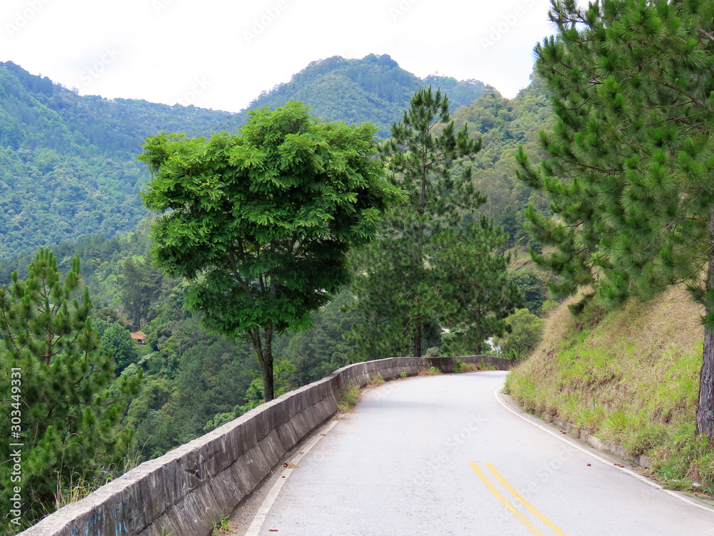 Road between mountains and trees