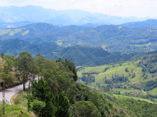 Road between mountains and trees