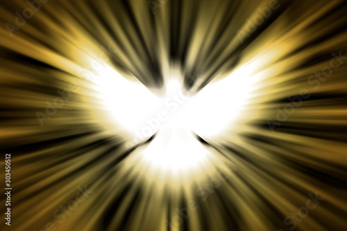 White bird with open wings is on the black background with yellow lights of a sun. Happy Valentine's Day