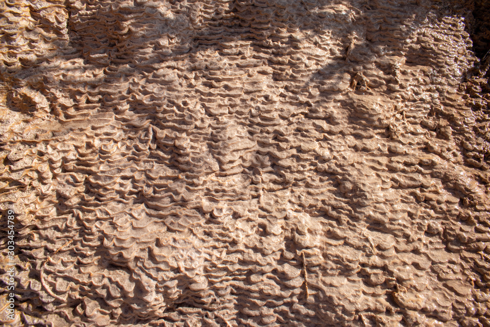Abstract travertine rock at spring layered water Abstract travertine rock at spring layered water