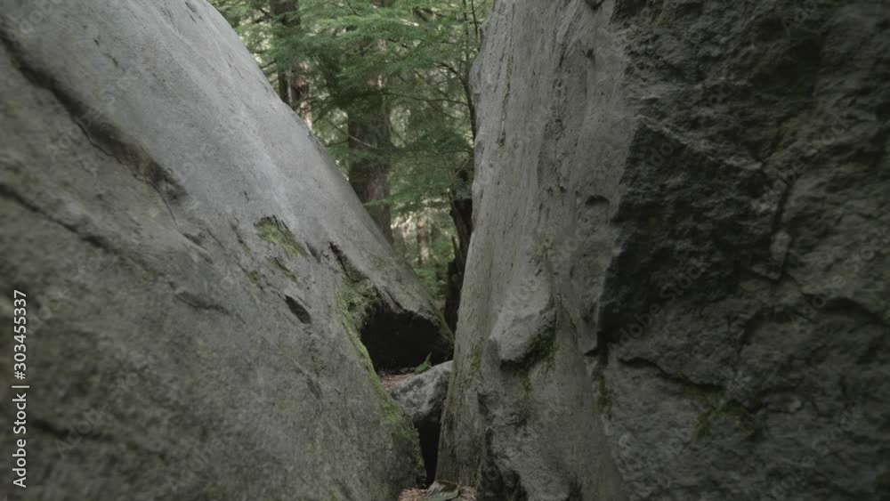 Split boulder rock in between zoom in on green forest trail in pacific Northwest Oregon Split boulder rock in between zoom in on green forest trail in pacific Northwest Oregon