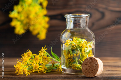 Concept of homeopathy and herbal treatment - solidago virgaurea know as goldenrod in a bottle