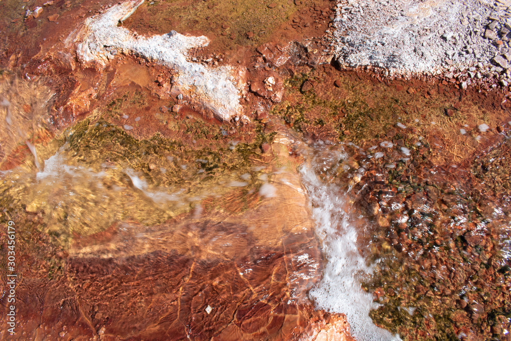Obraz premium abstract algae over orange and yellow rock