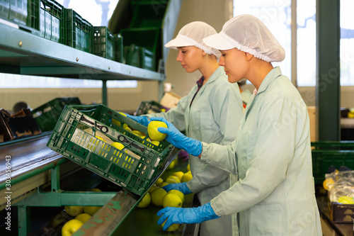 Young women working at a fruit warehouse