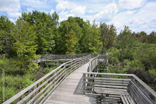 Boardwalk trail at Audubon Corkscrew Swamp Sanctuary in Naples, Florida. Includes a 2 miles hike through pine flat woods and wet prairie ecosystems within the Sanctuary. 