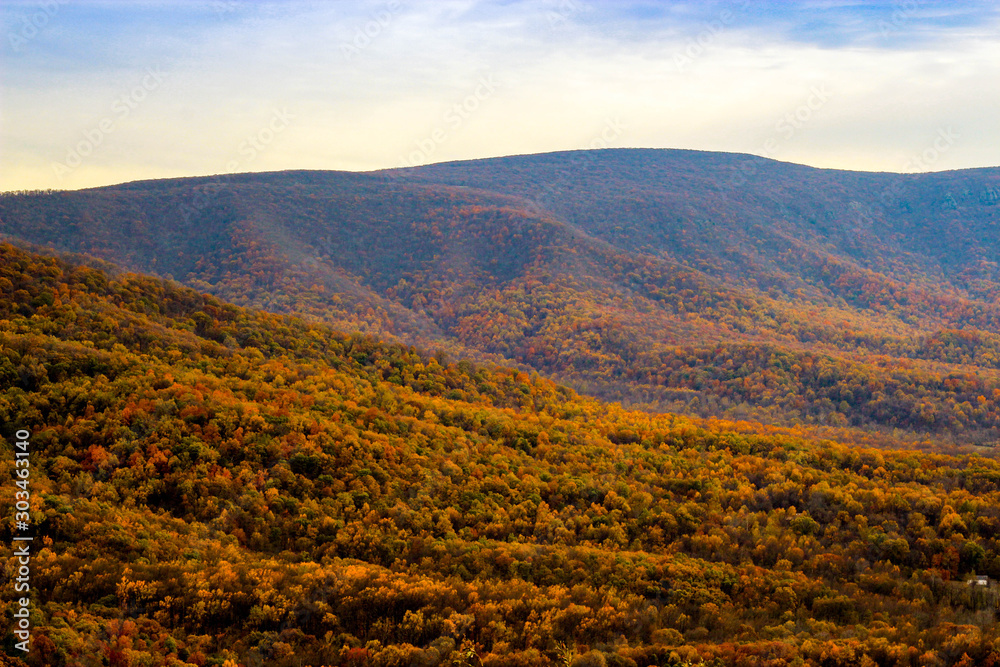 Fototapeta premium Shenandoah National Park during fall foliage