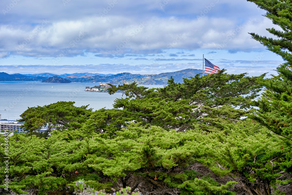 San Francisco, CA, USA - May 15, 2018: urban landscape, municipal and commercial buildings, surrounding vegetation, exotic trees