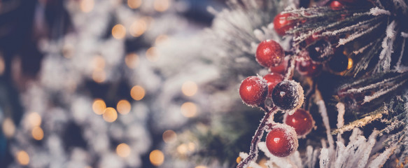 red holly berries and Christmas tree with festive defocused bokeh, holidays background