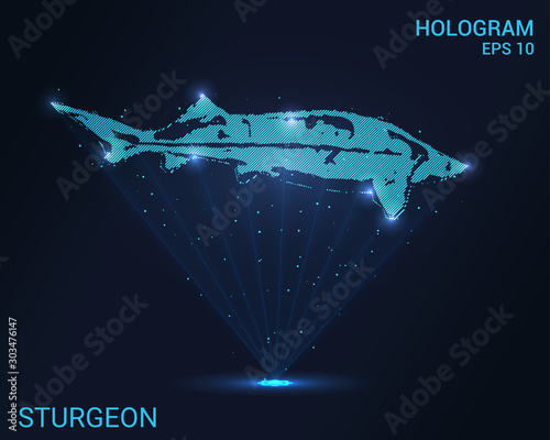 Hologram sturgeon. Holographic projection of sturgeon. Flickering energy flux of particles. Scientific design water world.